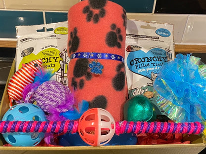 🐾 Pet Gift Pamper Hamper: Treats and Toys for Your Furry Friend! 🐶🐱